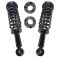 Strut & Spring Assembly Set