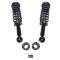 Strut & Spring Assembly Set