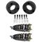 Strut & Spring Assembly Set