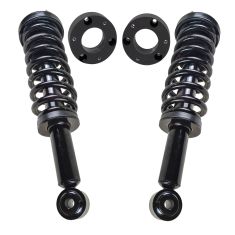 Strut & Spring Assembly Set