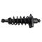 Rear Complete Shock & Spring Assembly Pair