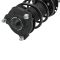 Front Strut & Spring Assembly Pair