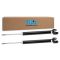 Shock Absorber Set