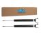 Shock Absorber Set