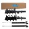 Complete Strut Assembly & Shock Absorber Kit