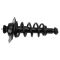 Rear Strut & Spring Assembly Pair