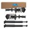 Complete Strut Assembly & Shock Absorber Kit