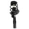 Front Strut & Spring Assembly Pair