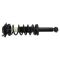 Rear Shock & Spring Assembly Pair