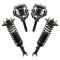 Strut & Spring Assembly Set