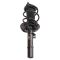 Strut & Spring Assembly Set