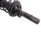 Strut & Spring Assembly Set