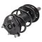 Strut & Spring Assembly Set