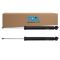 Shock Absorber Set