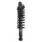 Shock & Spring Assembly Set