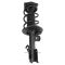 Complete Strut Assembly & Shock Absorber Kit