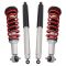 Complete Shock Assembly & Shock Absorber Kit