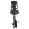 Strut & Spring Assembly Set