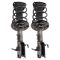 Strut & Spring Assembly Set