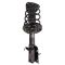 Strut & Spring Assembly Set