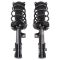 Strut & Spring Assembly Set