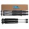 Complete Shock Assembly & Shock Absorber Kit