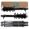 Strut & Spring Assembly Set