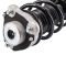 Strut & Spring Assembly Set
