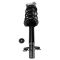 Strut & Spring Assembly Set