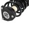 Strut & Spring Assembly Set