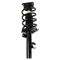 Strut & Spring Assembly Set