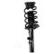 Strut & Spring Assembly Set