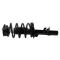 Strut & Spring Assembly Set