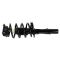 Strut & Spring Assembly Set