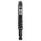 Strut & Spring Assembly Set
