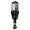 05-09 LR Discovery LR3; 10-16 LR4; 06-13 Range Rover Sport New Rear Air Strut PAIR (Arnott)