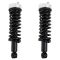 Strut & Spring Assembly Set
