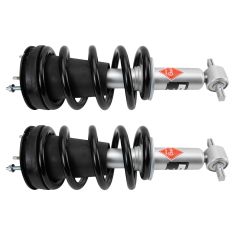 Strut & Spring Assembly Set