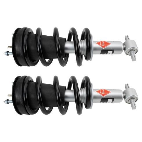 Strut & Spring Assembly Set