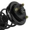 01-04 Acura EL; 01-02 Honda Civic 1.7L; 03-05 Civic Hybrid Front Strut Assy (Monroe Quick Strut)PAIR