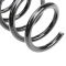 Rear Coil Spring Pair