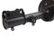 Strut & Spring Assembly