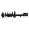 Strut & Spring Assembly