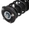 Strut & Spring Assembly