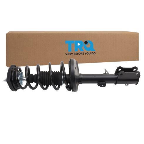 Strut & Spring Assembly