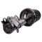 Strut & Spring Assembly