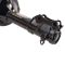 Strut & Spring Assembly