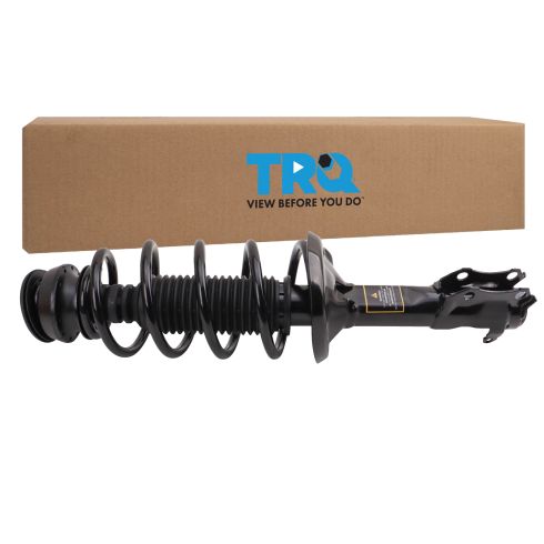 Strut & Spring Assembly