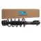 Strut & Spring Assembly