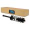 98-02 Honda Accord REAR Strut & Spring Assembly LR = RR